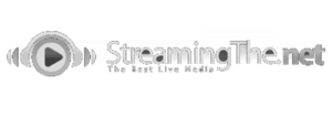 Streaming the Net GrayScale Logo