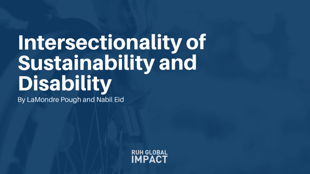 Intersectionality of Sustainability and Disability