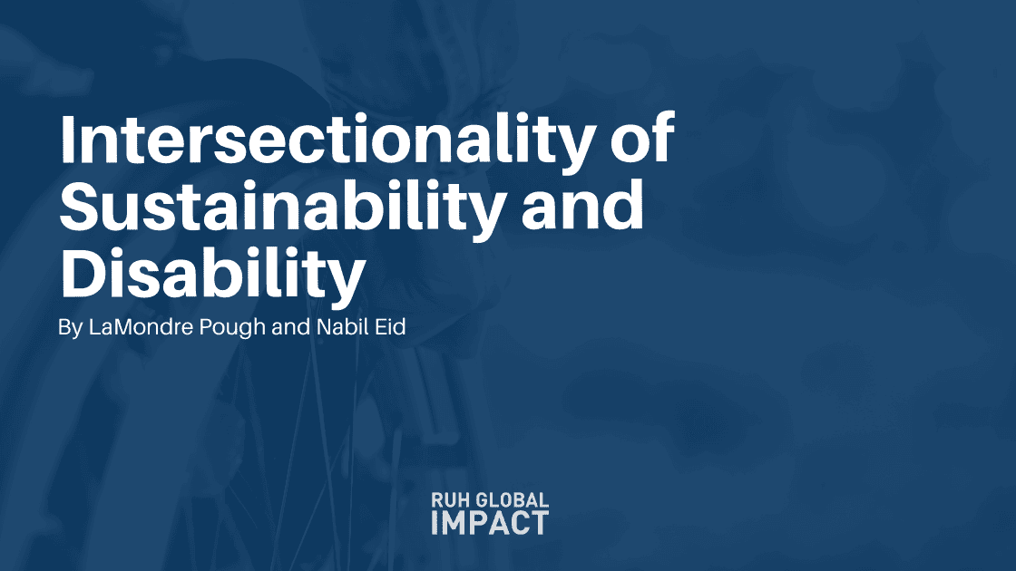 Intersectionality of Sustainability and Disability